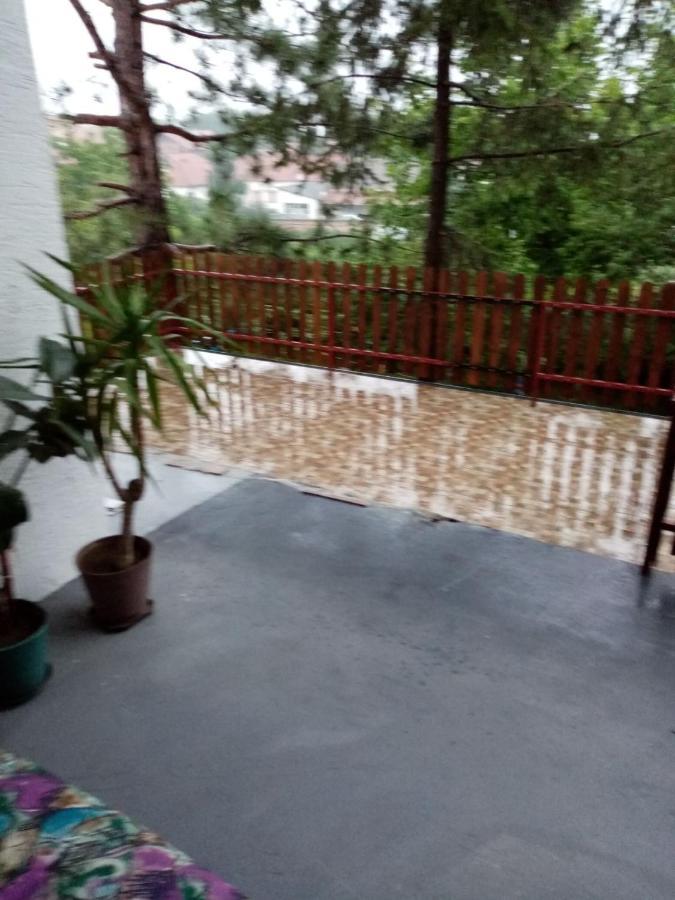 Family Apartman Ana - Star Golubăţ Exterior foto