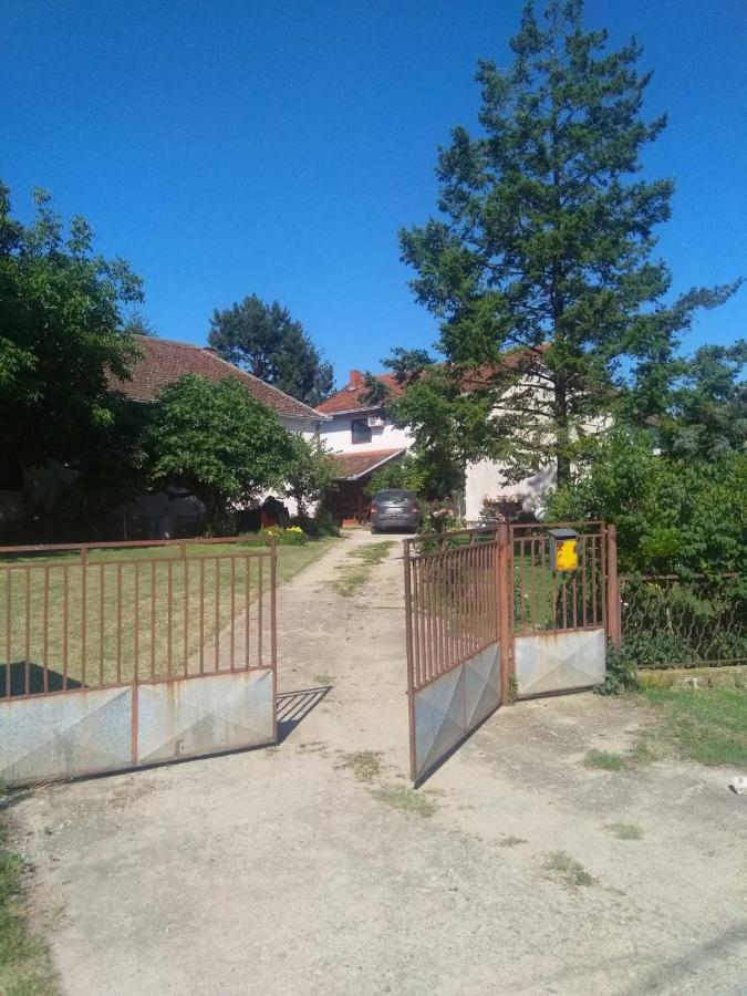 Family Apartman Ana - Star Golubăţ Exterior foto