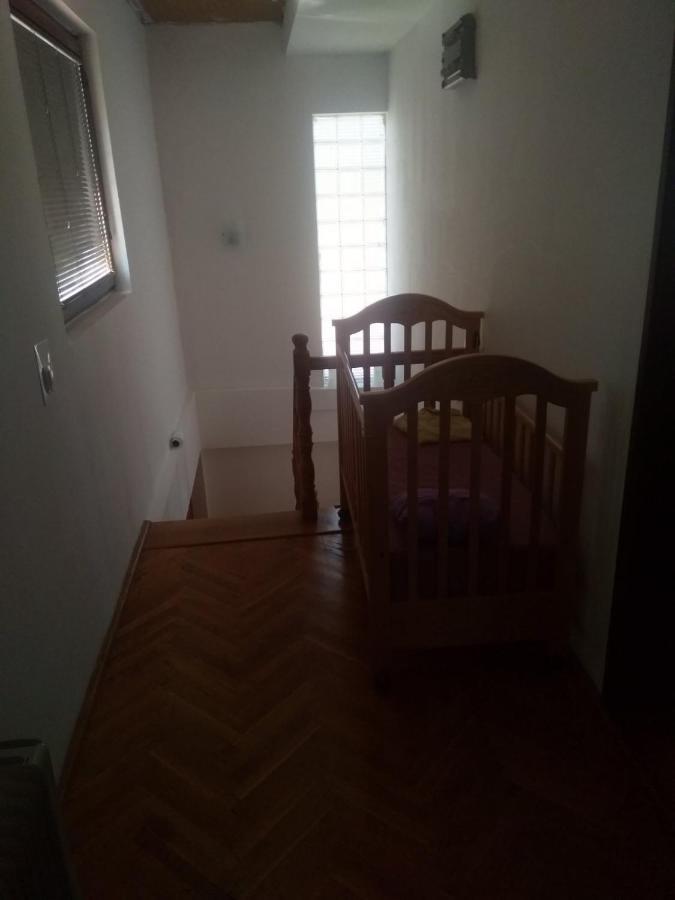 Family Apartman Ana - Star Golubăţ Exterior foto