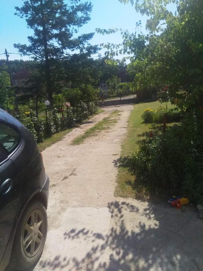 Family Apartman Ana - Star Golubăţ Exterior foto