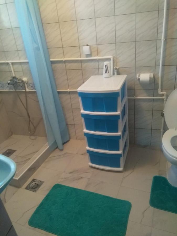 Family Apartman Ana - Star Golubăţ Exterior foto