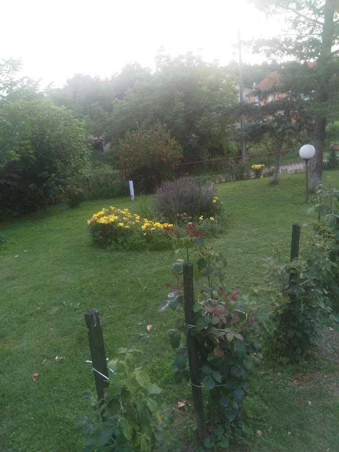 Family Apartman Ana - Star Golubăţ Exterior foto