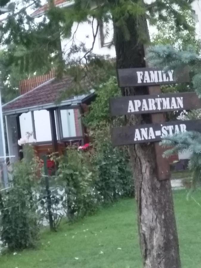 Family Apartman Ana - Star Golubăţ Exterior foto